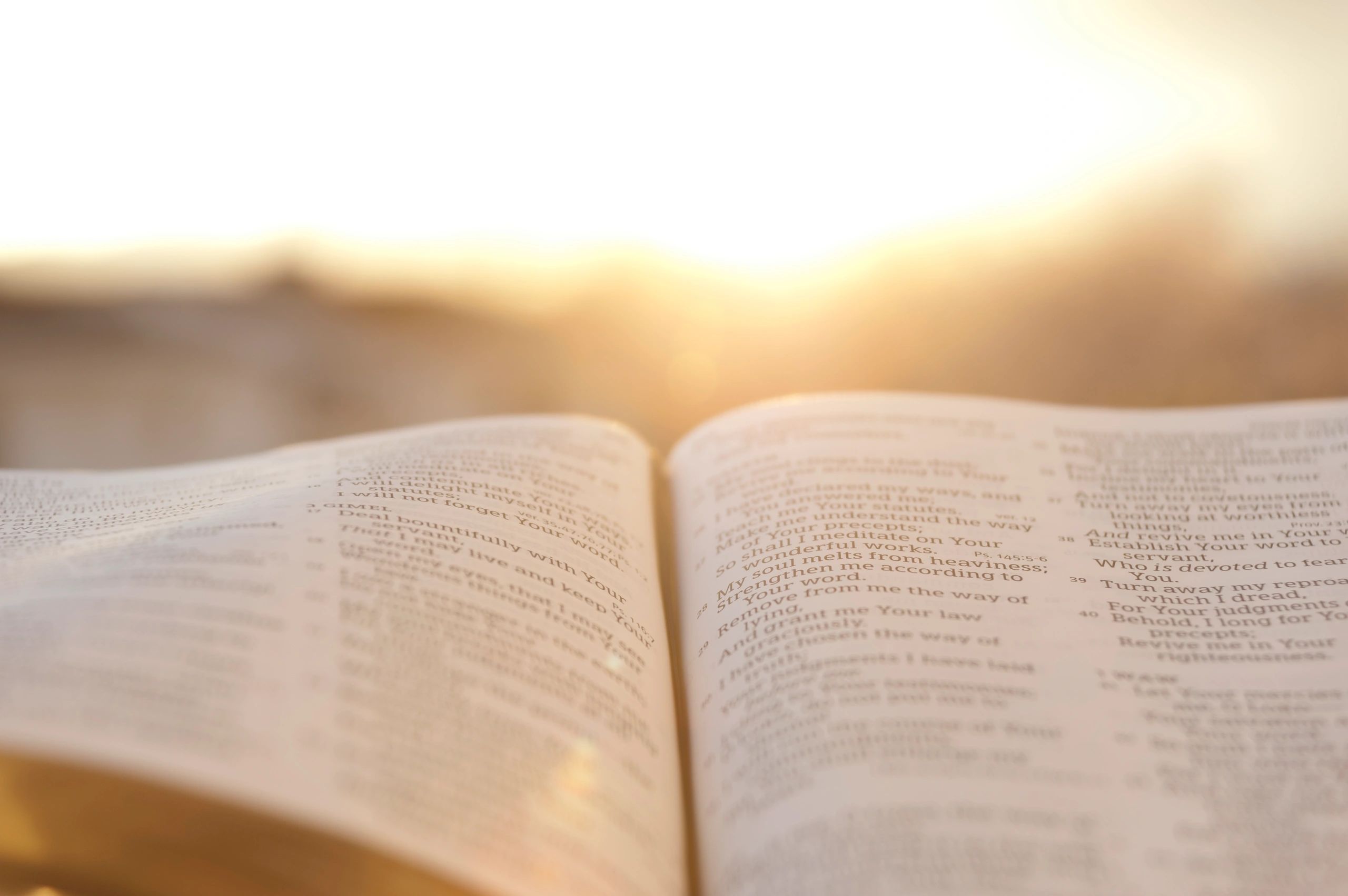 Open Bible with warm evening light for devotional reflection